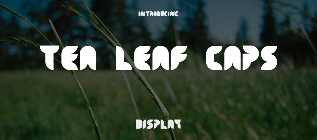 Tea Leaf Caps Font