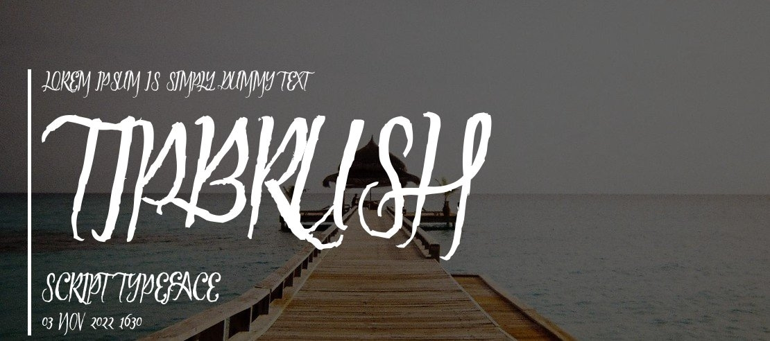 Tipbrush Script Font Family