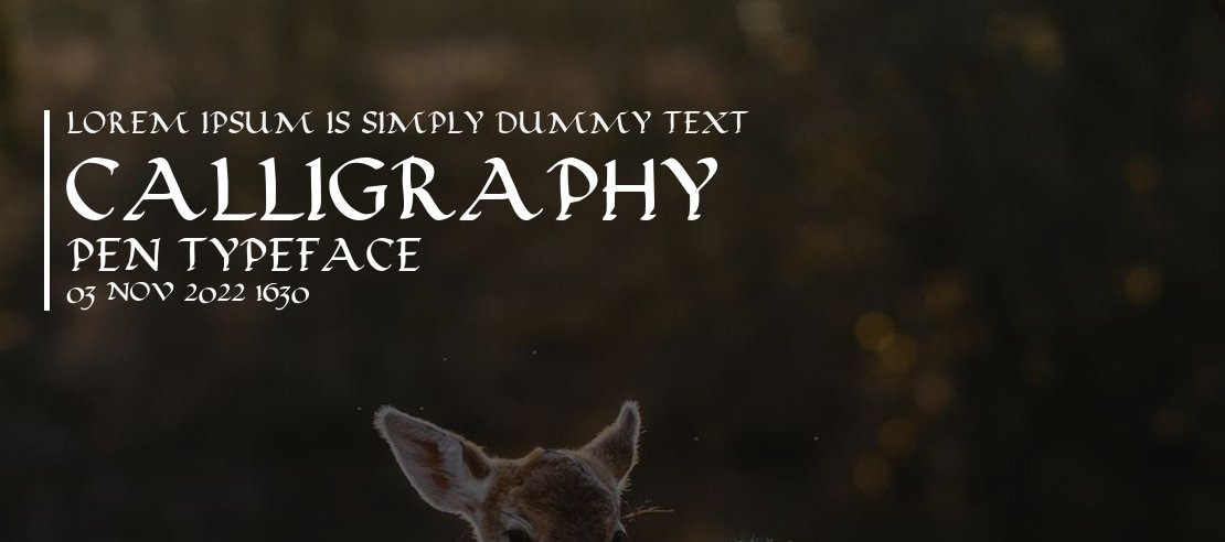 Calligraphy Pen Font