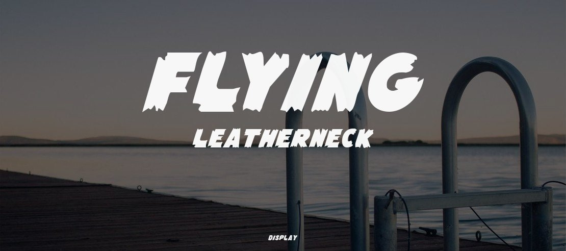Flying Leatherneck Font Family