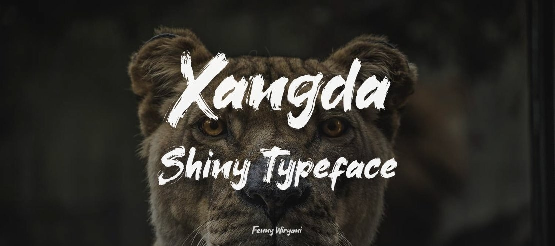 Xangda Shiny Font