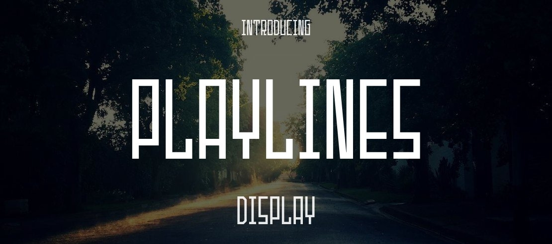 Playlines Font