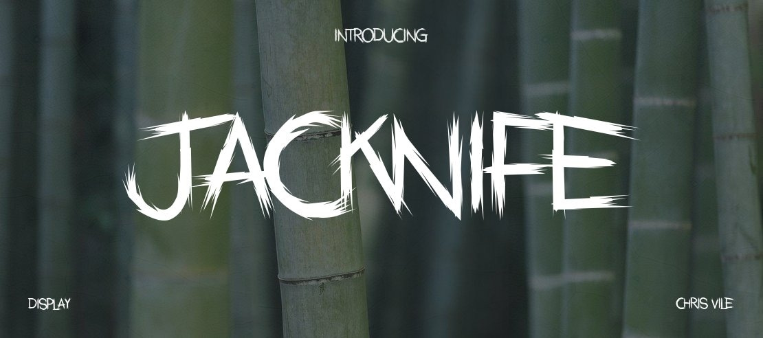 Jacknife Font