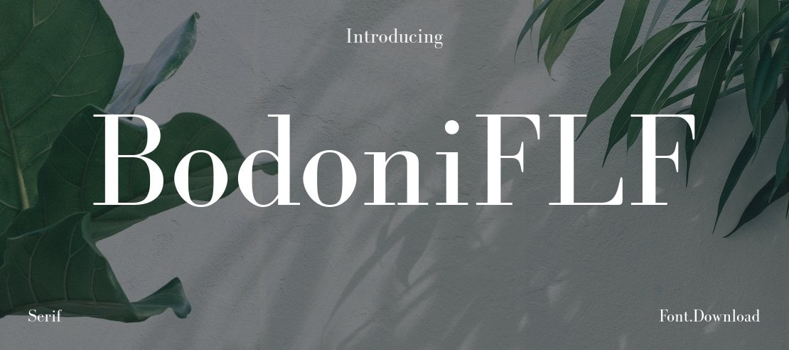 BodoniFLF Font Family