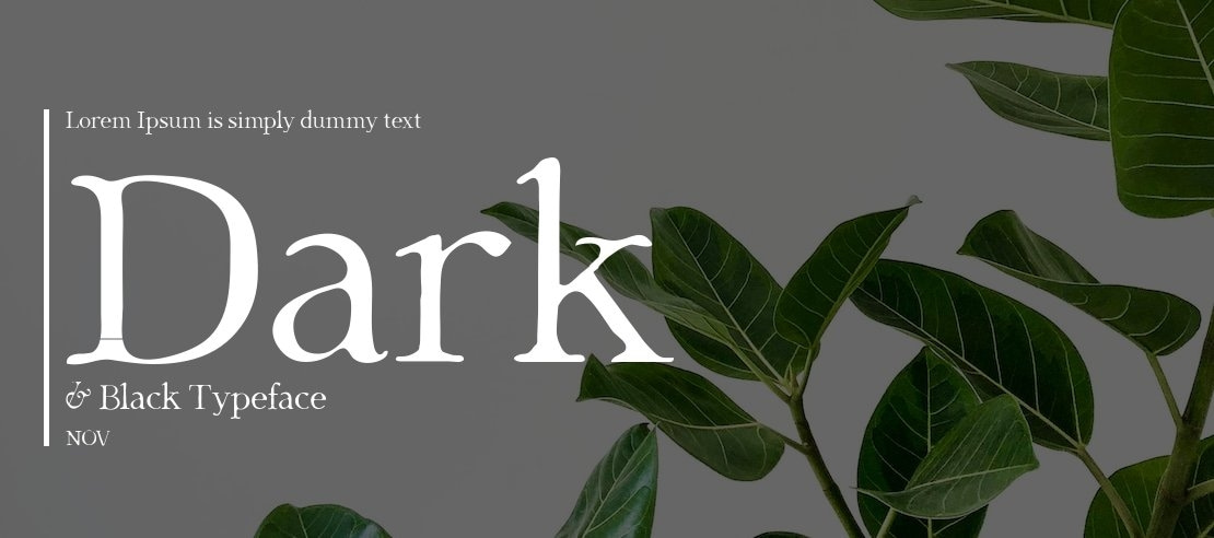 Dark & Black Font