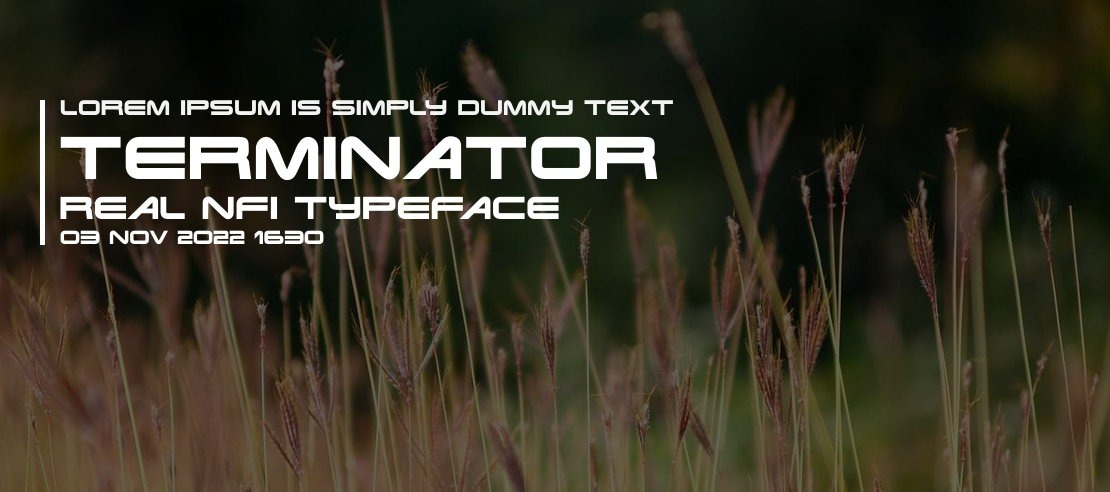 Terminator Real NFI Font