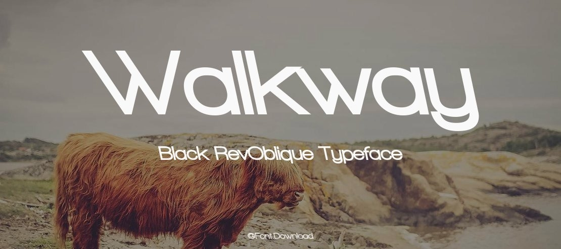 Walkway Black RevOblique Font Family