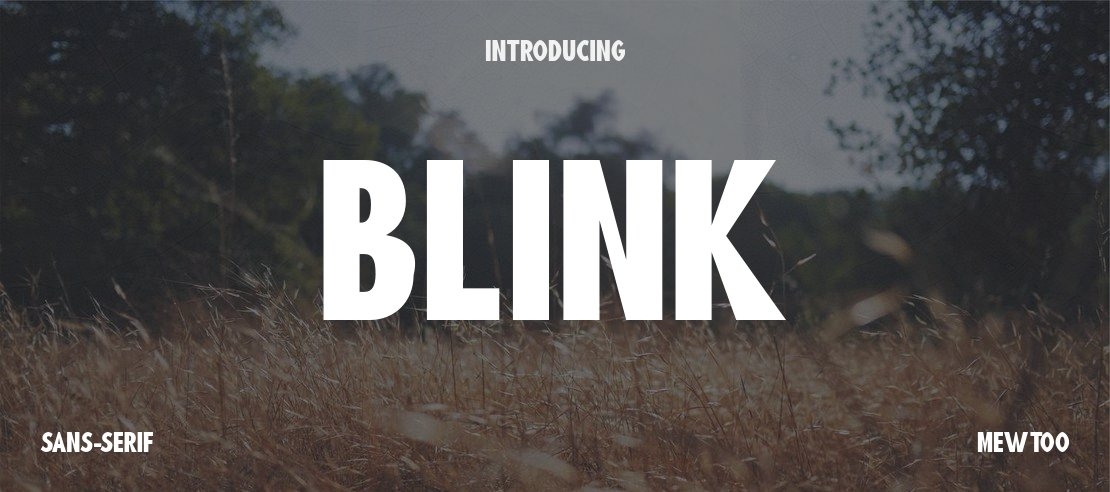 Blink Font Family