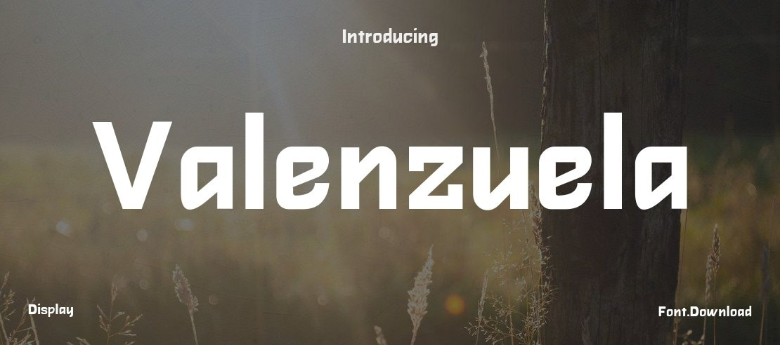 Valenzuela Font