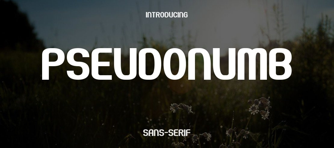 Pseudonumb Font