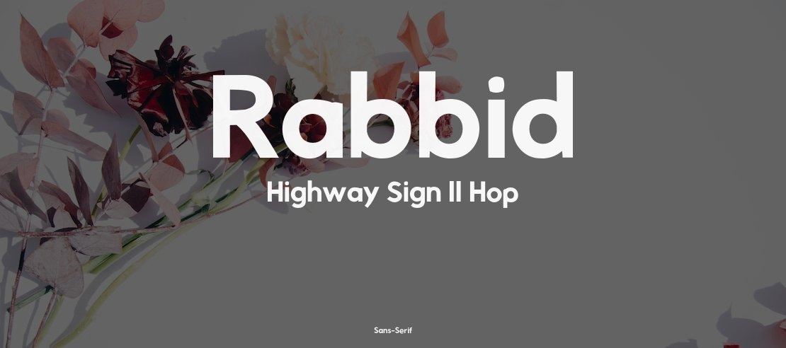 Rabbid Highway Sign II Hop Font Family