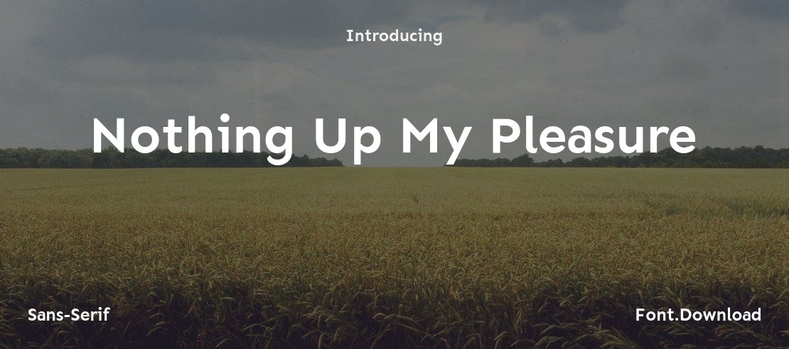 Nothing Up My Pleasure Font