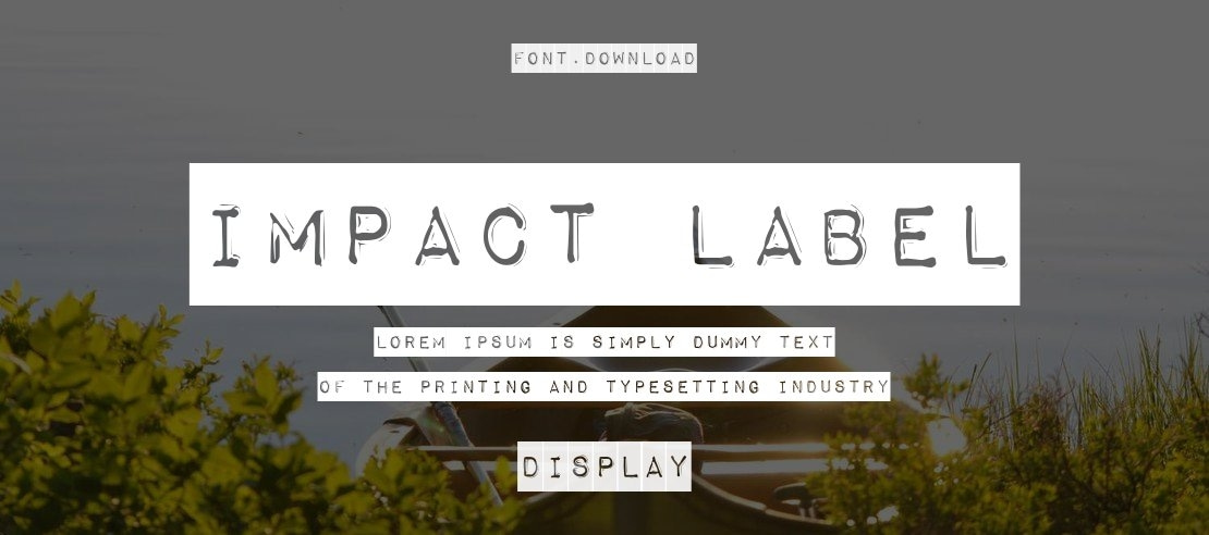 Impact Label Font Family