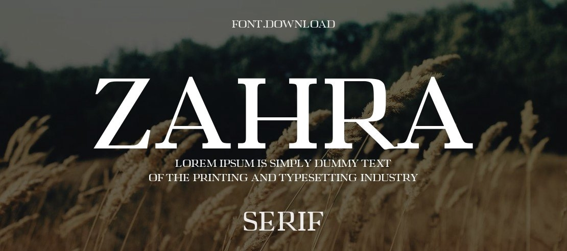 Zahra Font