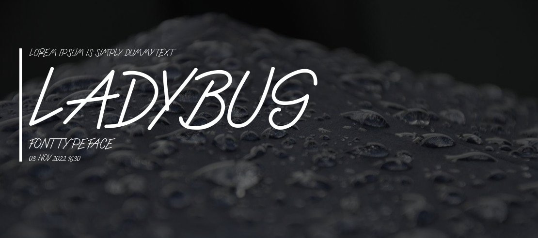 Ladybug font