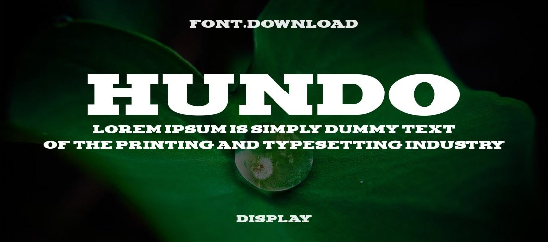 Hundo Font