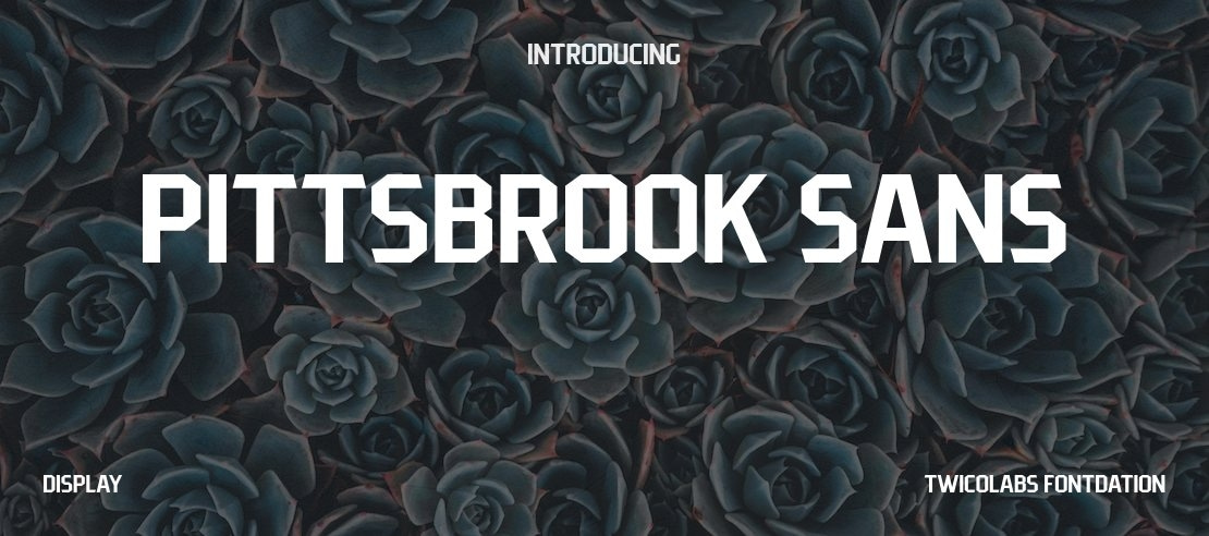 Pittsbrook Sans Font