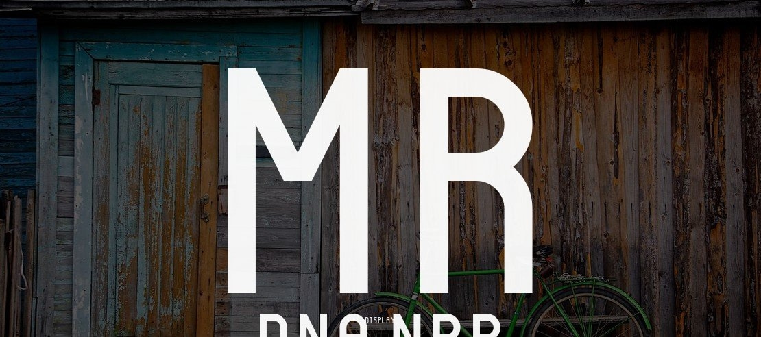 Mr Dna NBP Font Family