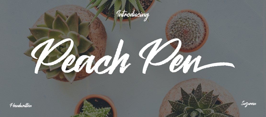 Peach Pen Font