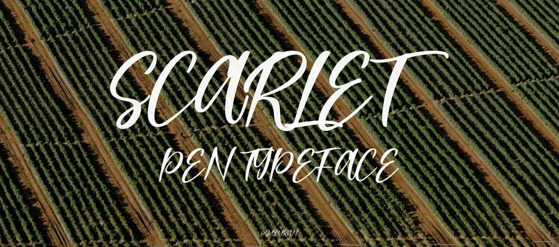 Scarlet Pen Font