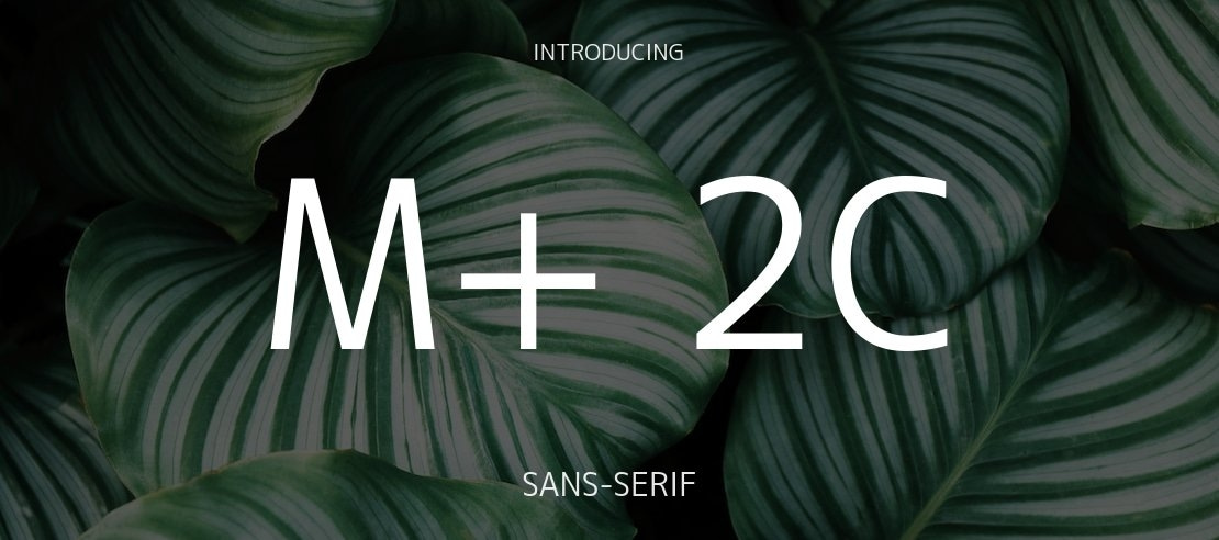 M+ 2c Font Family