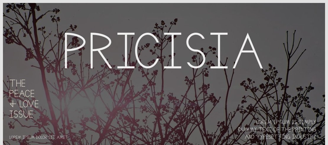 Pricisia Font