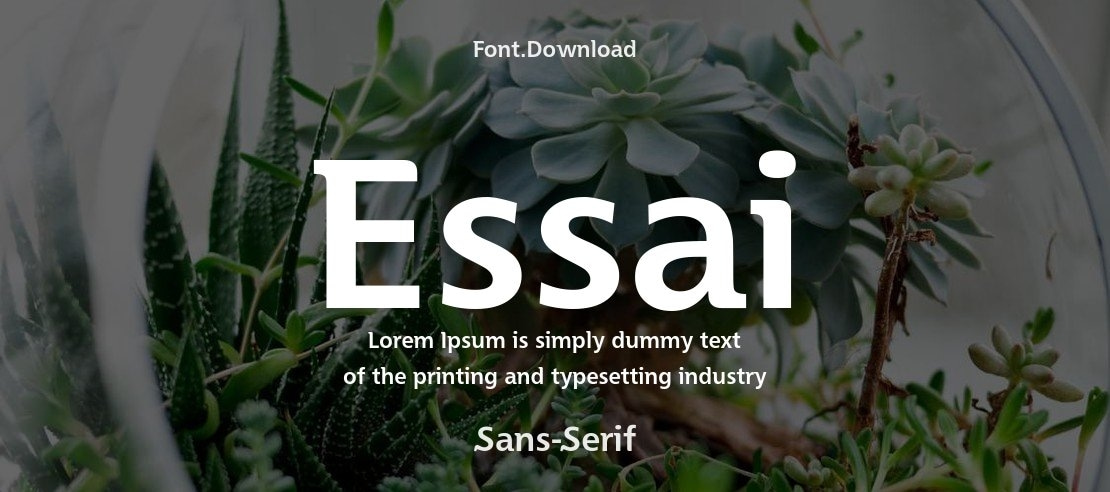 Essai Font