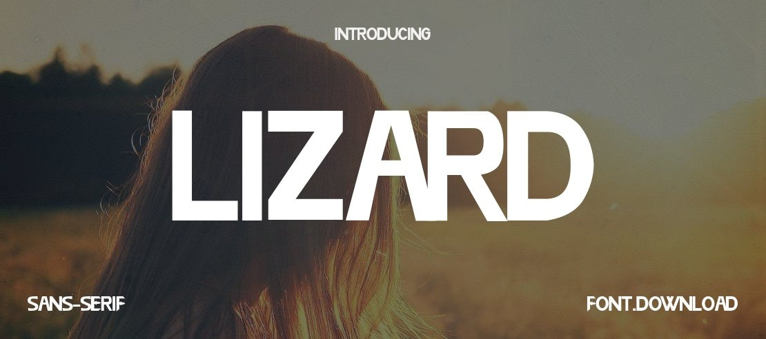 Lizard Font Family