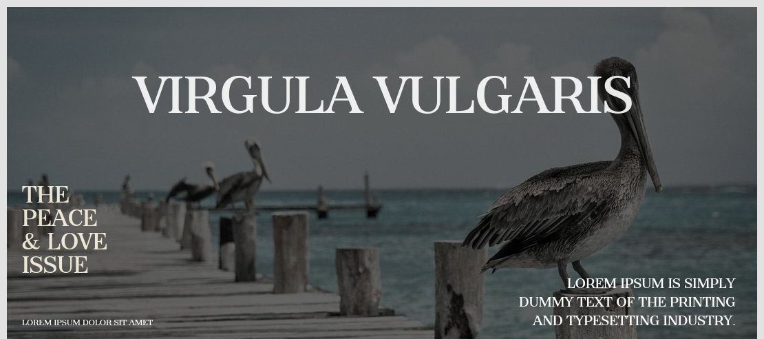 Virgula Vulgaris Font