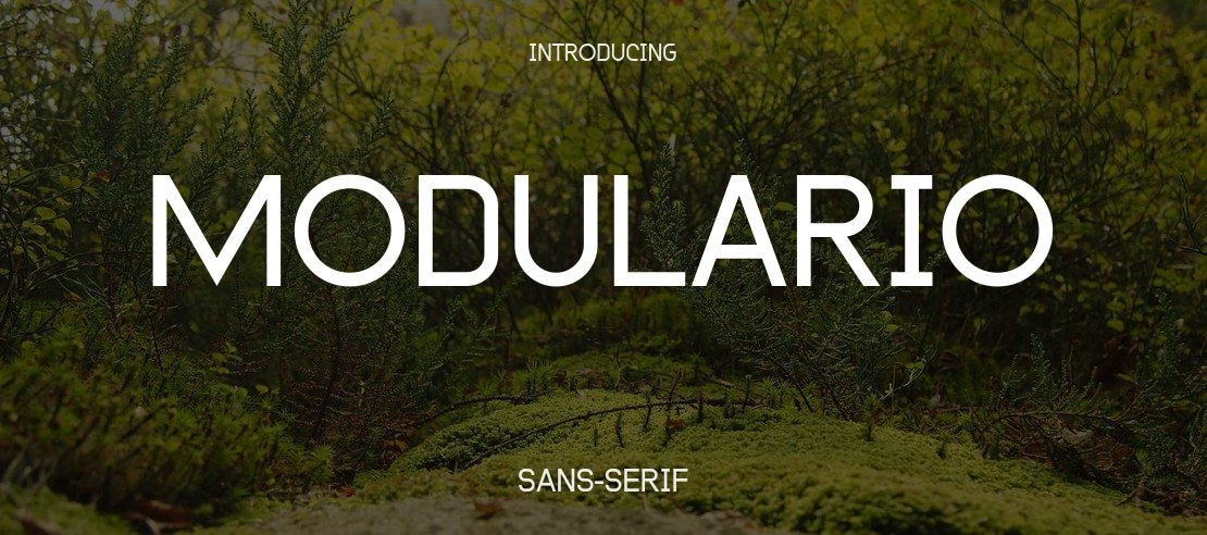 Modulario Font