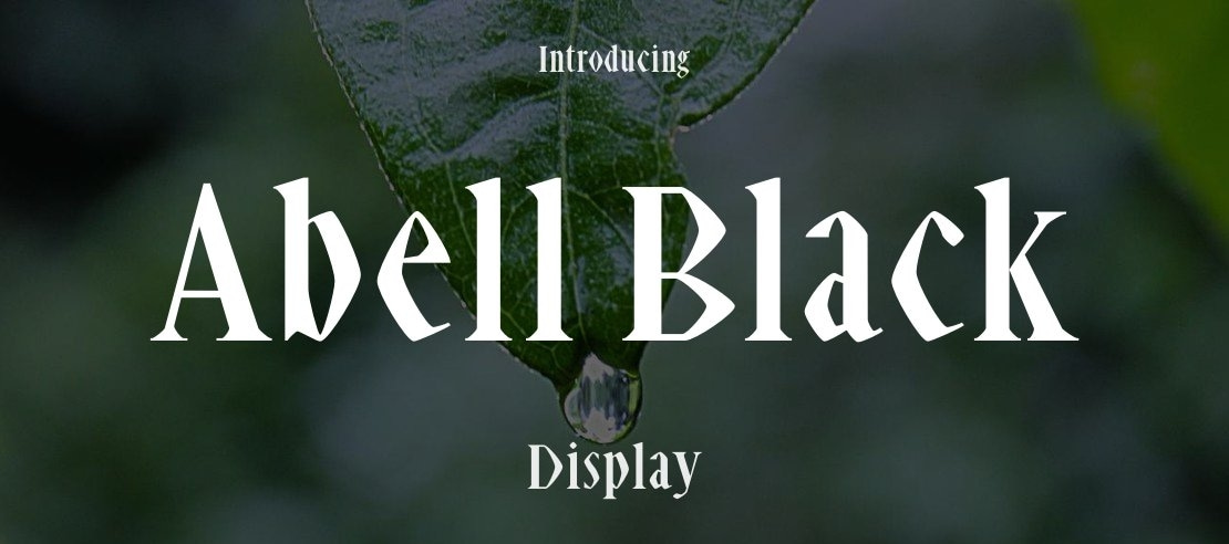 Abell Black Font