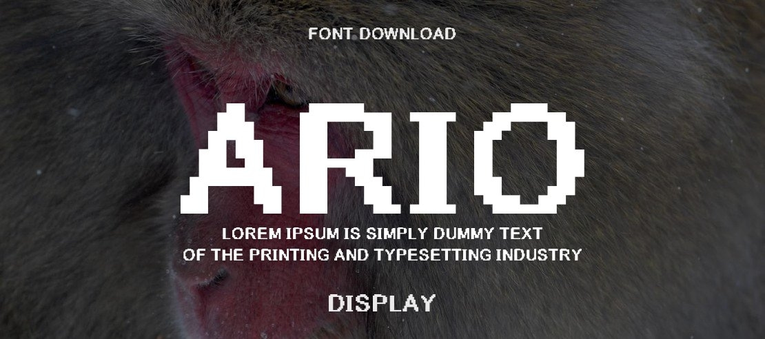 Ario Font