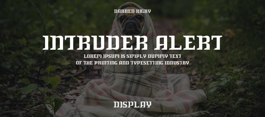 Intruder Alert Font