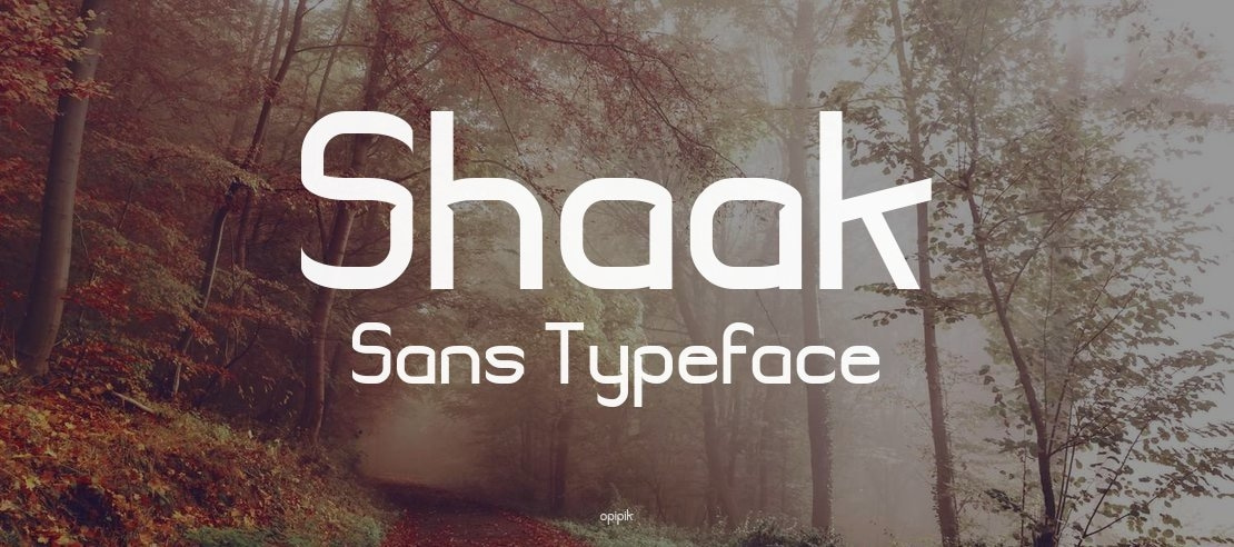 Shaak Sans Font