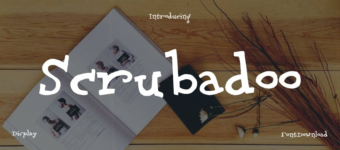 Scrubadoo Font