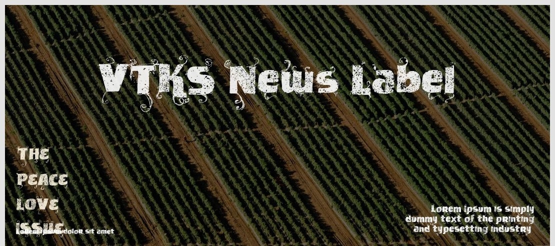 VTKS News Label Font