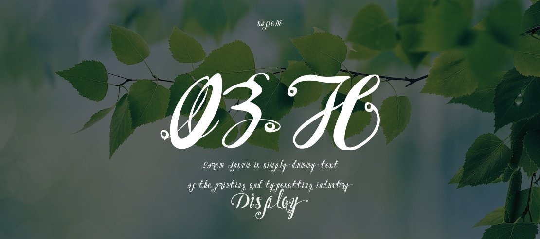 OZH Font