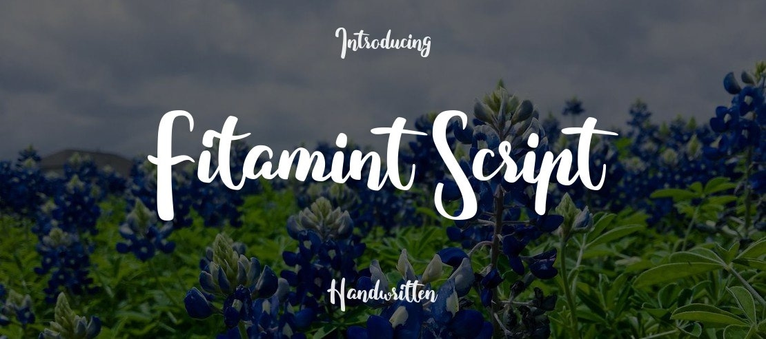 Fitamint Script Font