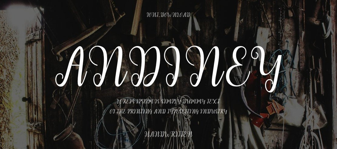 andiney Font