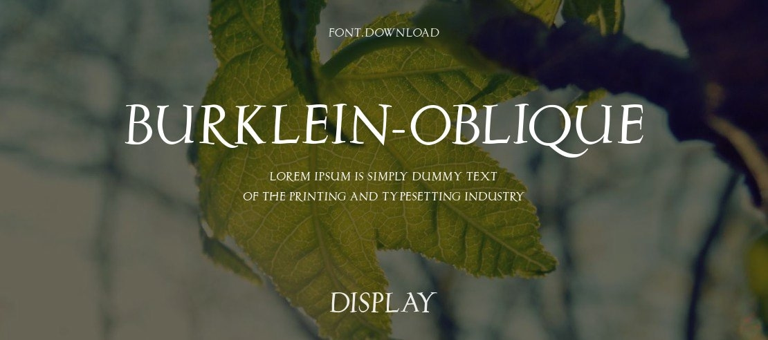 Burklein-Oblique Font Family