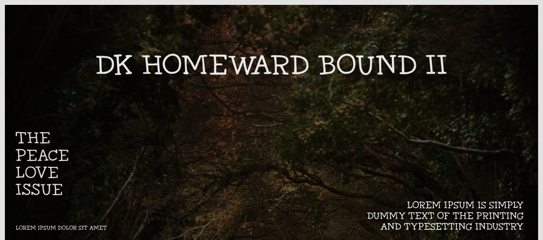 DK Homeward Bound II Font