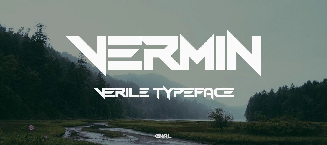 Vermin Verile Font