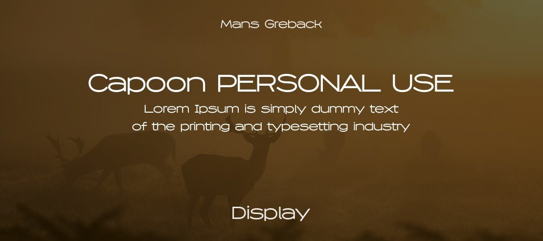 Capoon PERSONAL USE Font Family
