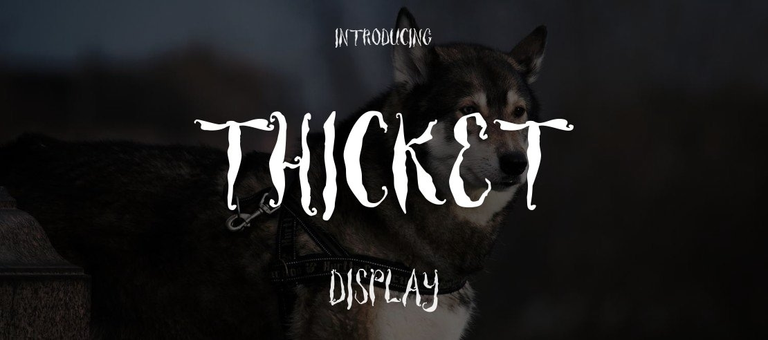 Thicket Font