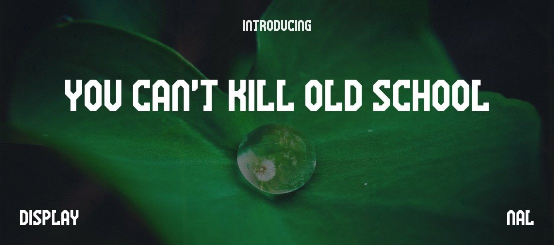 You Can't Kill Old School Font