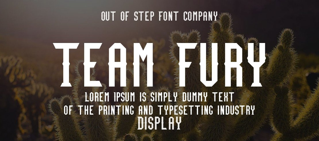 Team Fury Font