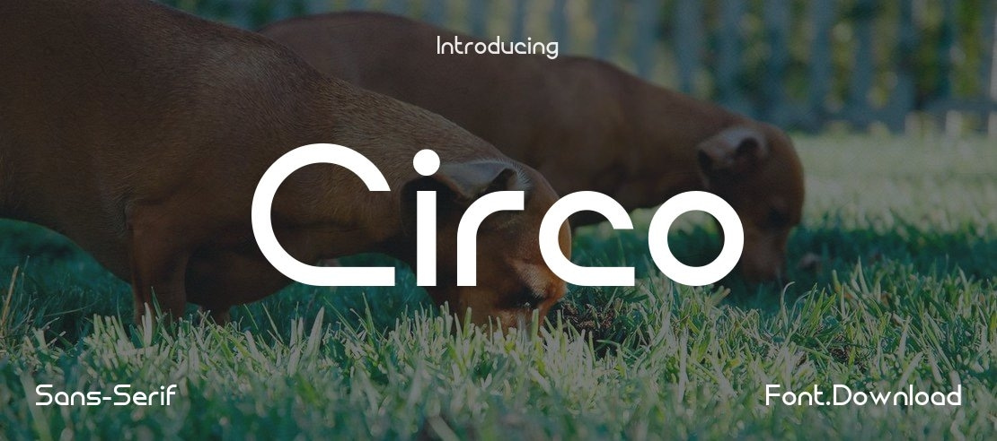 Circo Font