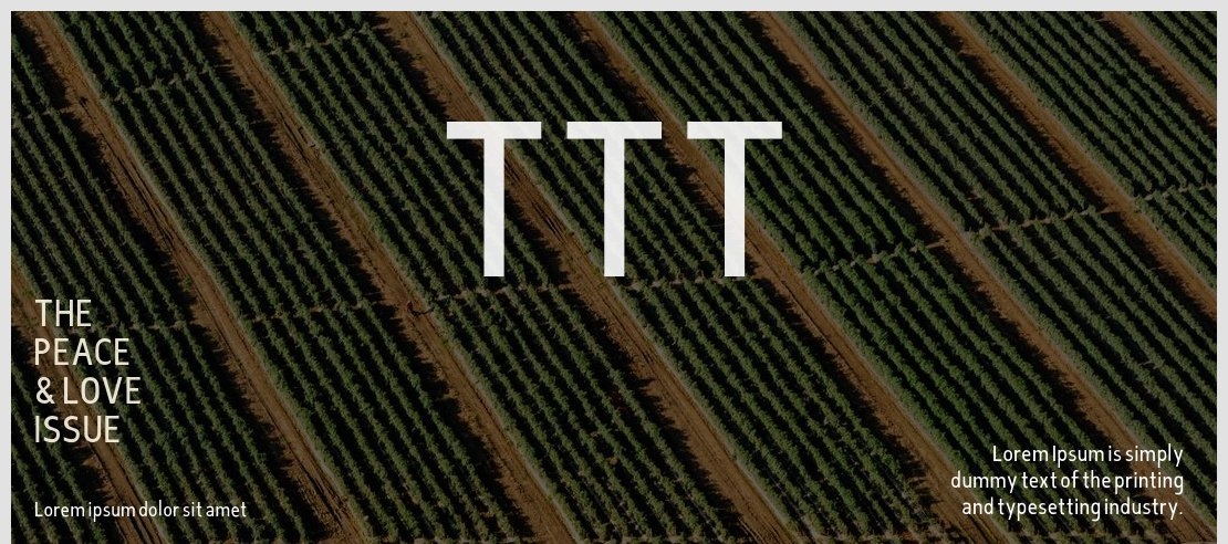 TTT Font Family