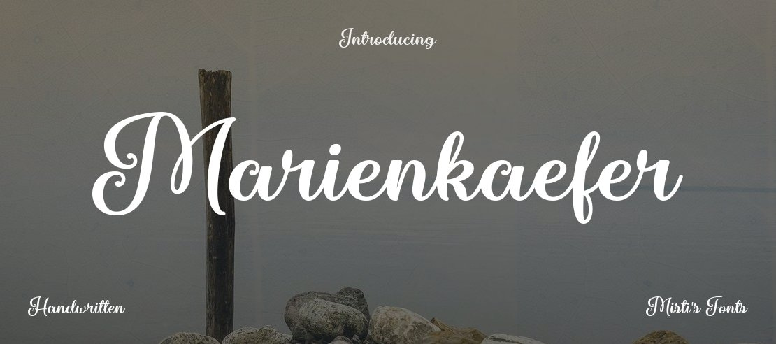 Marienkaefer Font
