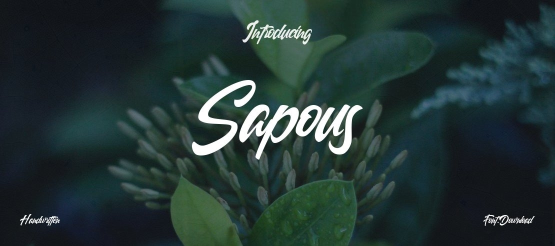 Sapous Font